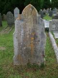 image of grave number 113100